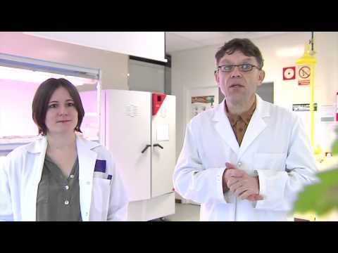 Fotograma del vídeo: Expertos detectan una nueva cepa de araña roja que ataca al viñedo