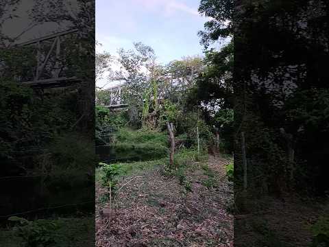 #ponte do #trem #no #municipio #de pombal paraíba