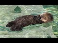 𝑝𝑙𝑎𝑦𝑙𝑖𝑠𝑡 아무 생각 없이 둥둥 떠다니고 싶은 날 Drifting Withou