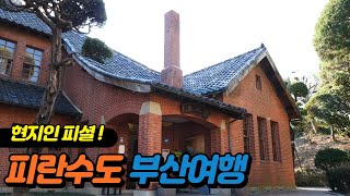 피란수도 부산여행의 이미지