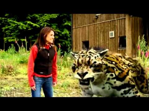 Evolution [Primeval] Creatures