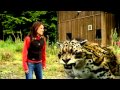 Evolution Primeval Creatures