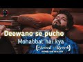 Deewano Se Pucho Mohabbat Hai Kya Slowed Reverb Lofi Breakup Song