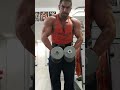 Delts lateral raises