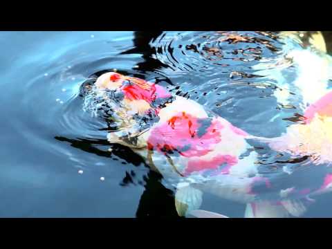 Corporate Motion film and photography services. video.