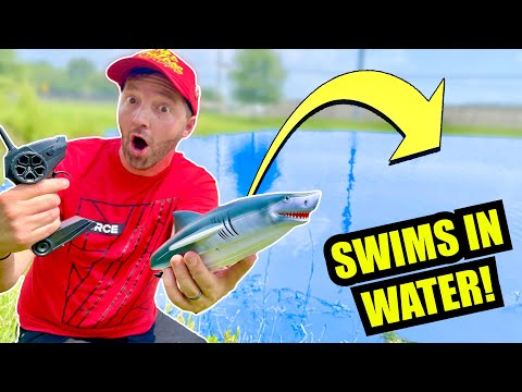 RC SHARK BOAT ADVENTURE (Transforms Into Jaws!)