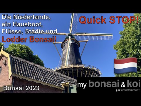 Bonsai 2023-29 - Quick STOP! - the Netherlands, a houseboat, rivers, cities and LODDER Bonsai!