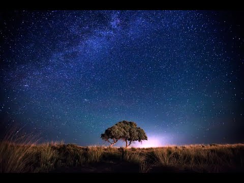 GRUBAS/WZW - MASYW prod. 11raybeats