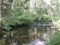 Прости-Волгин Юрий и Светлана 