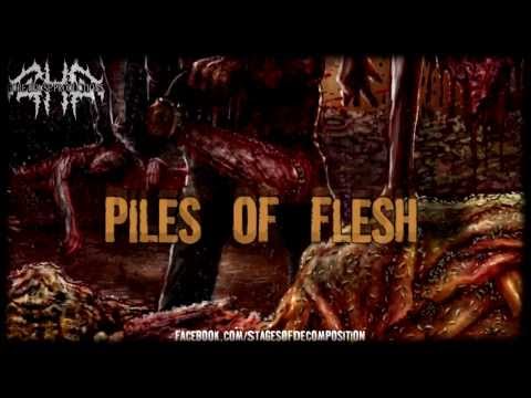 Stages Of Decomposition - Piles Of Rotting Flesh (Lyric Video)