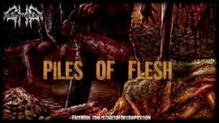 Stages Of Decomposition - Piles Of Rotting Flesh (Lyric Video)