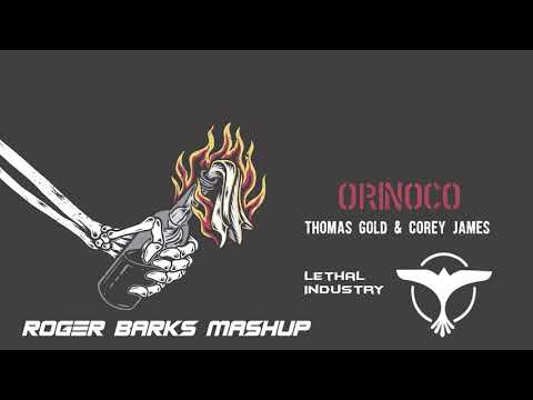 Thomas Gold & Corey James vs Tiësto - Orinoco vs Lethal Industry (Roger Barks Mashup)