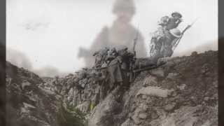 &#39;Brothers in Arms&#39; Remembrance Day video