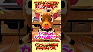 カブトムシをもう１匹飼った結果、、 #あつ森 #あつまれどうぶつの森 #shorts