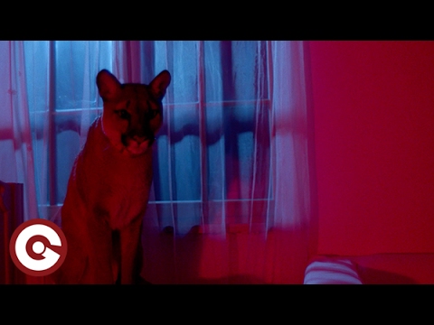 FLYBOY FEAT. GAVRIELLE - Iceland (Official Video)