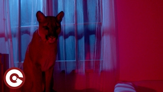 FLYBOY FEAT. GAVRIELLE - Iceland (Official Video)