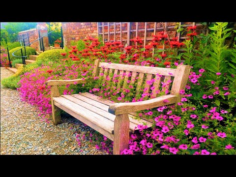 Priviti in jur la tot ce vā-nconjoarā