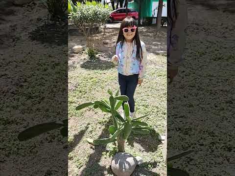 No sabia que eran espinas 🤣🤣 #shorts