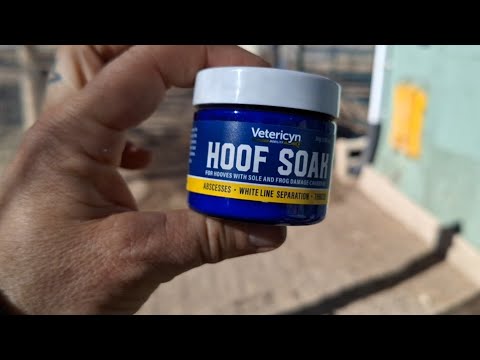 Hoof Soak and Hoof Boot Review