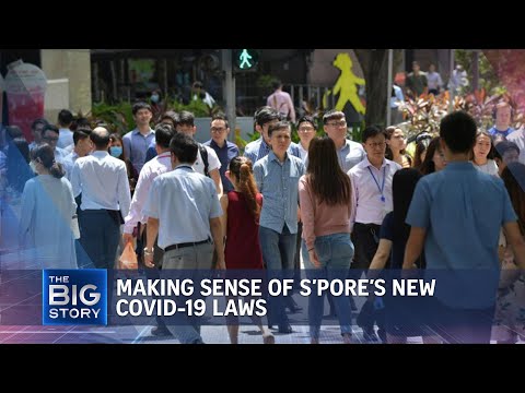 Screengrab from The Big Story discussion of Singapore's COVID-19 laws