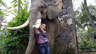 preview picture of video 'Lombok Elephant Park 21 April 2018'