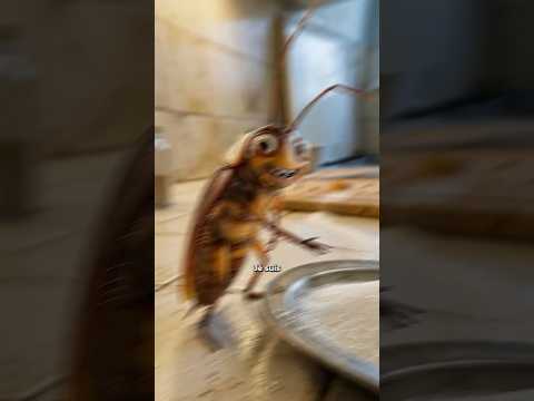 Voici comment bien faire ✅