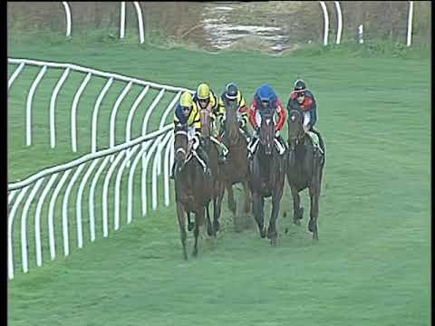 Galoppo 15/11/2017 - 3ª corsa