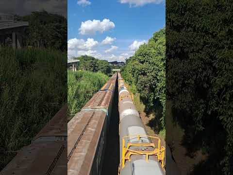 Composição passando por Cordeirópolis/SP.