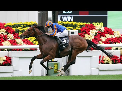 香港ヴァーズ G1 12 13 日 日程 結果 Jra Van Ver World