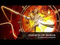 "Dance of Shiva" -  Electric Universe (Vishnu Sahasranamam Mantra)