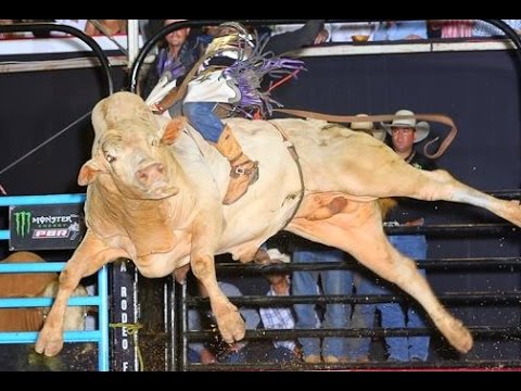 Resumo da Final em Touros ● PBR Jaguariúna/SP 2015