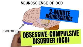 2-Minute Neuroscience: Obsessive-Compulsive Disorder (OCD)