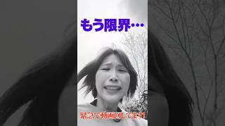 異変！上海、今大量の“アレ”飛んでます！