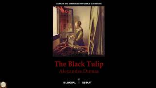 The Black Tulip