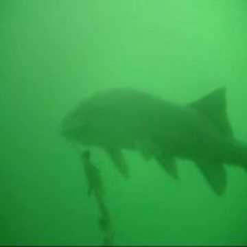 Diez, Steinbruch Diez,Rheinland Pfalz,Deutschland