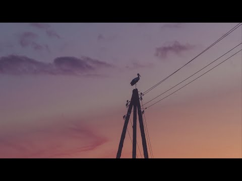 The Lumineers - Holdin' Out