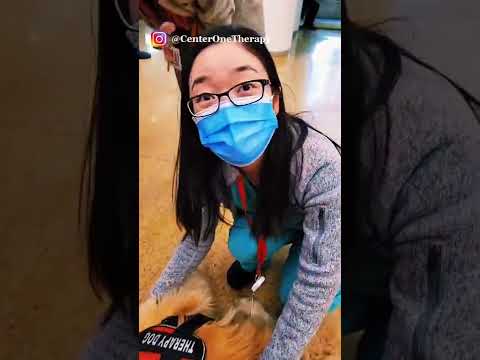 HOSPITAL NURSES AND DOCTORS NEED PET THERAPY TOO | Therapy Dogs & Cat At Work