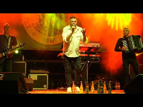 Baja Mali Knindza - Koncert (Vidovdanski sabor u Vrdniku 2025)