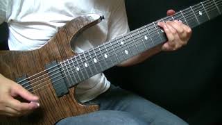 Animals As Leaders - Arithmophobia All Guitar Cover