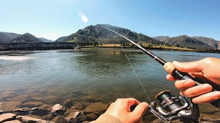The Columbia River Shad Run (Catch & Cook) | Bonneville Dam 2023