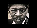 Little Walter - I've Had My Fun