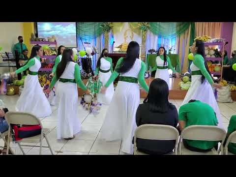 Danza " Popurri Fiesta " Milton Valle.