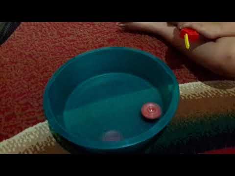 Wild Wyvern vs Storm Spriggan