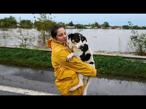 Video Thumbnail: Barking up the family tree in Argentina as birth rates fall