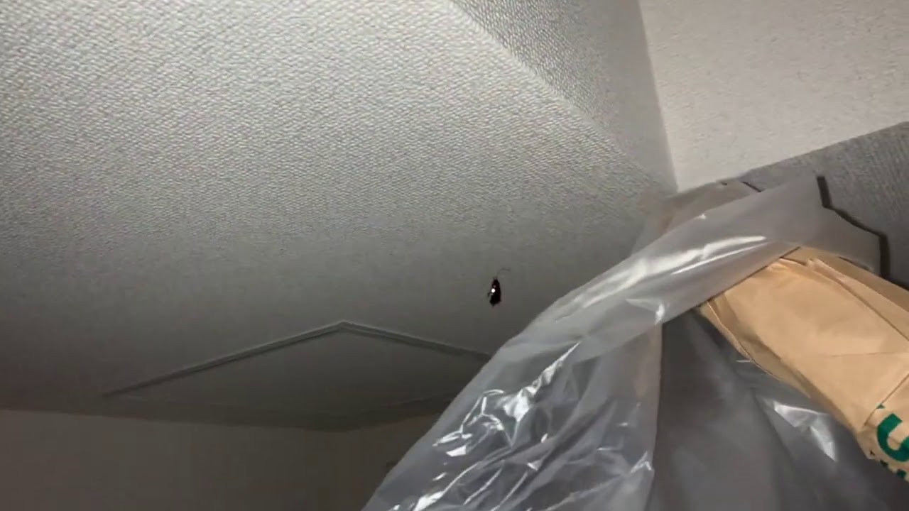 【30分の激闘】ついにゴキブリを倒しました。