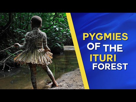 Pygmies of the Ituri rainforest - documentary about the Mbuti People of Congo Zaire (1975)