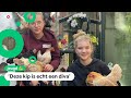 De kippen van Meike en Floor spelen in een tv-serie