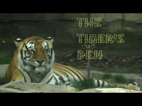 July 15th Trade What You See with Larry Pesavento on TFNN - 2016