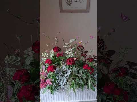 緑豊かなシダの生い茂る庭の手押し車を飾る方法