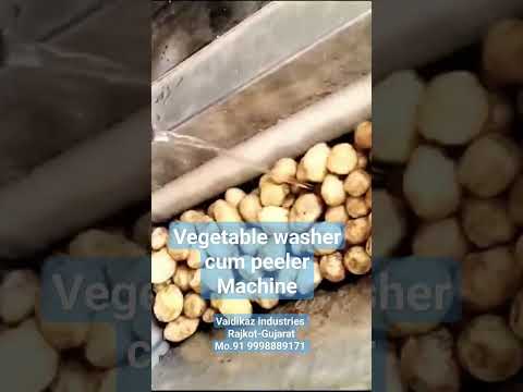 Vegetable And Fruit Washer Machine